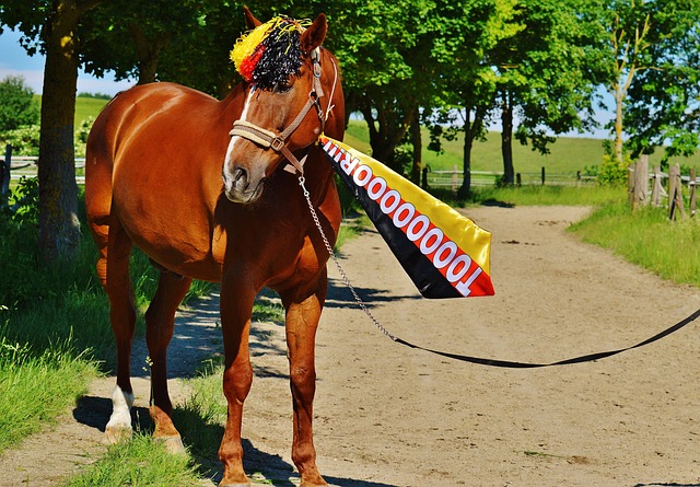 取得四轮不 取得四轮不