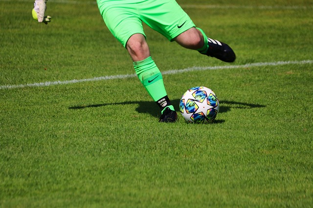 在我们追寻 在我们追寻