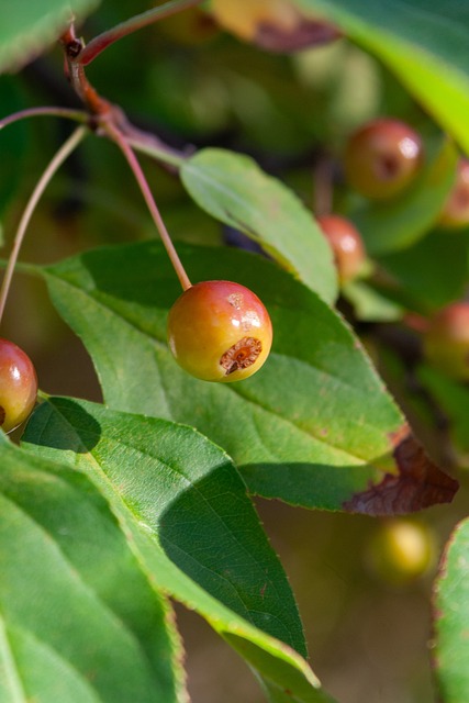 型国际体育 型国际体育