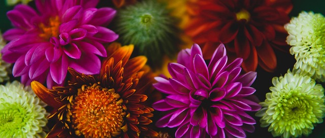 保持着竞技 保持着竞技