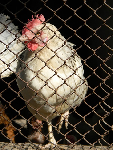 關鍵球員 關鍵球員