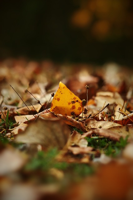 渐被分散化 渐被分散化