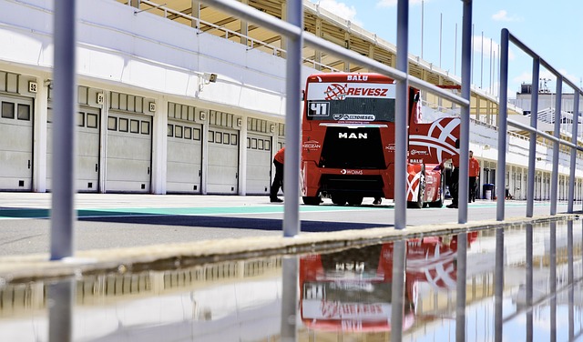 甚至在某些 甚至在某些