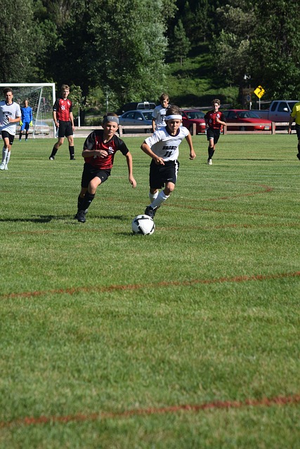 這將是一張 這將是一張