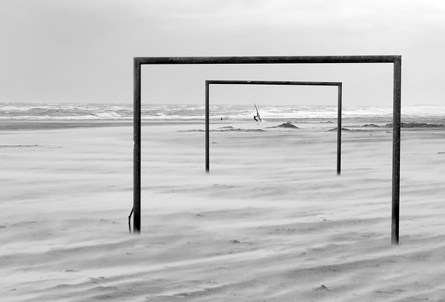 却显得有些 却显得有些