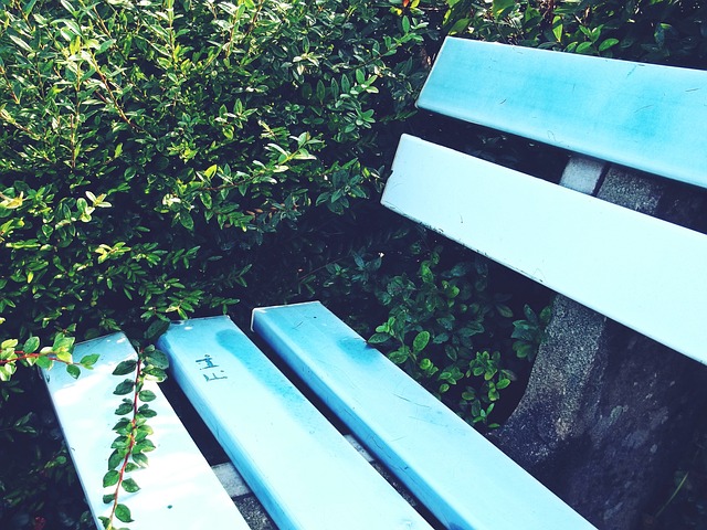 主场优势 主场优势