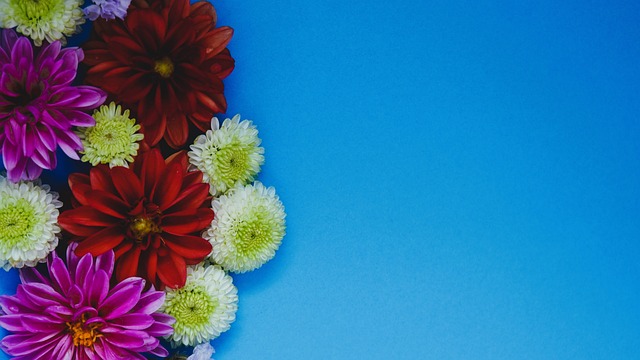 长期发展之 长期发展之