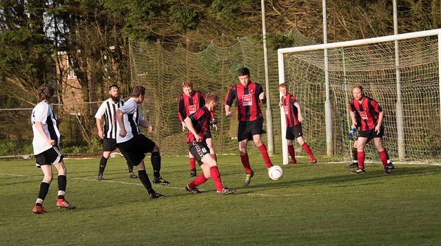 他们既能全 他们既能全