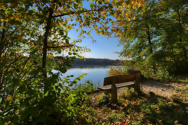 科技的发展 科技的发展