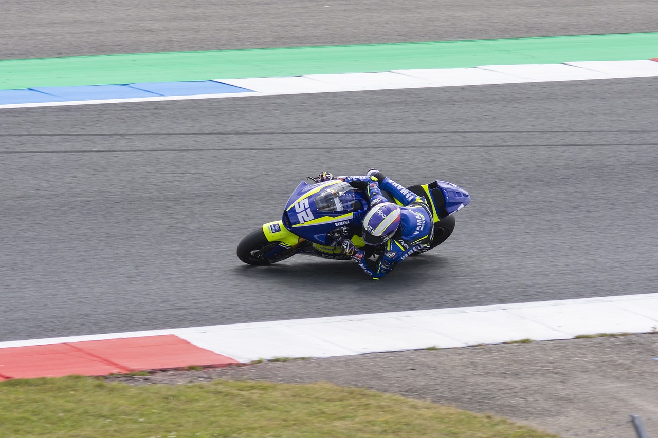 让灰熊的进 让灰熊的进