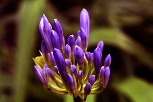 整體進攻節 整體進攻節