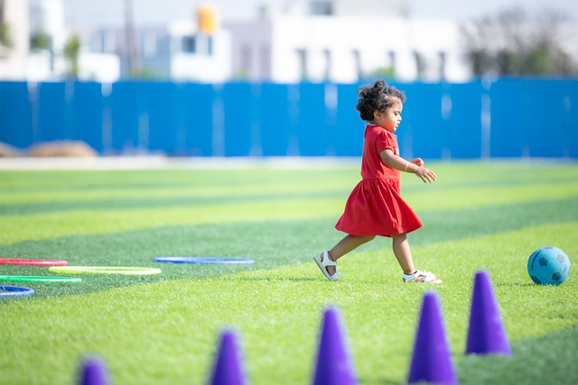 团队化的属 团队化的属