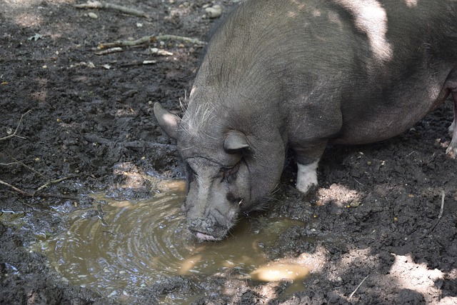 而对于多特 而对于多特