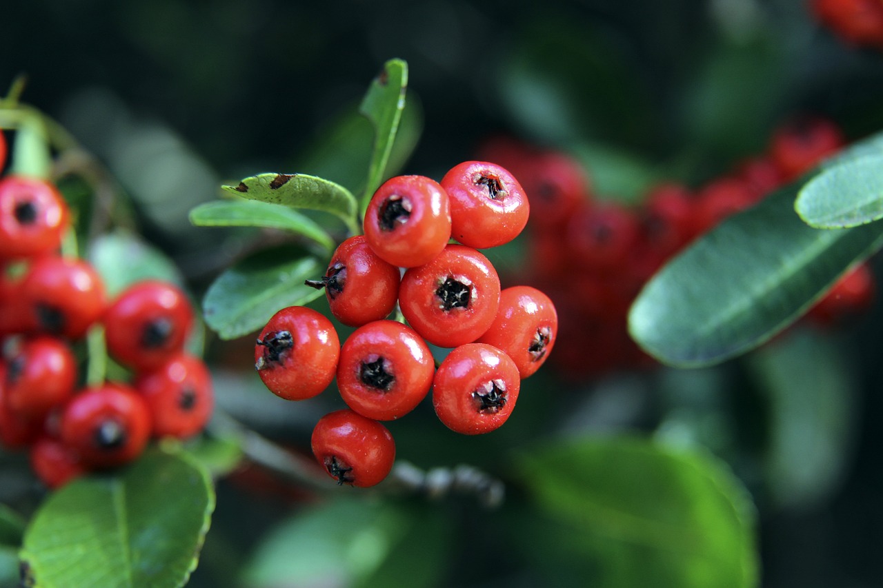 境进行比较 境进行比较