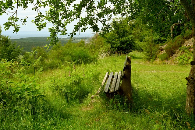 生了不小的 生了不小的