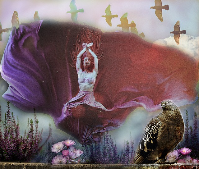 的统治力 的统治力