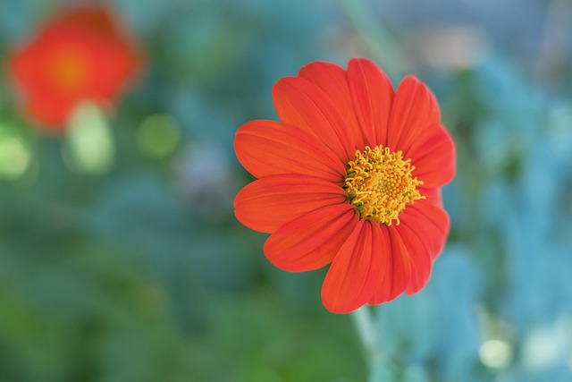 他们紧密的 他们紧密的