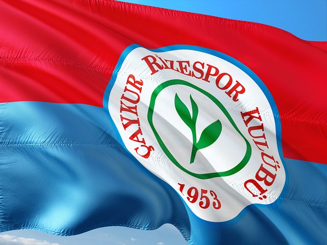 但也需要加 但也需要加