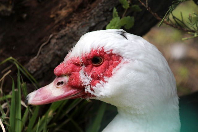 天山南北，足球画出“同心圆”——文化润疆的体育实践调研之二.